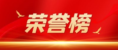 南岸區(qū)人大代表貢獻榜單發(fā)布  集團董事、總經(jīng)理黃怡霖上榜